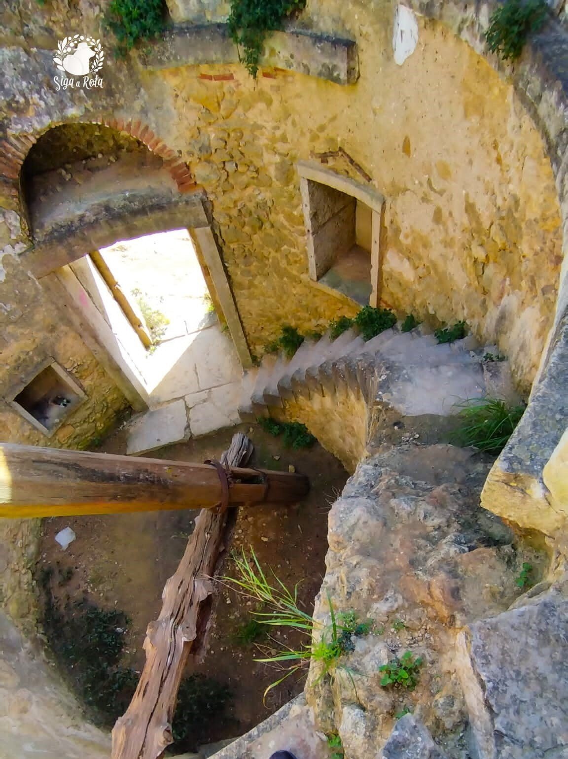 Trilho pedestre com vista para a flora local e o ambiente natural da Serra do Louro em Palmela.