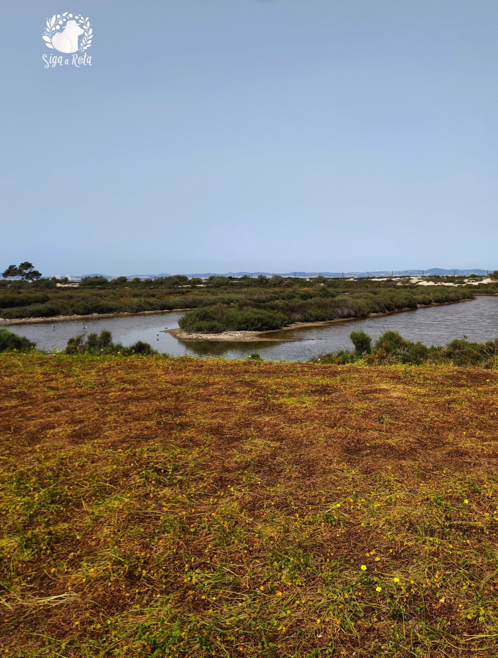 Visitantes observando aves com binóculos nas Salinas do Samouco, rodeados por áreas úmidas e vegetação típica.