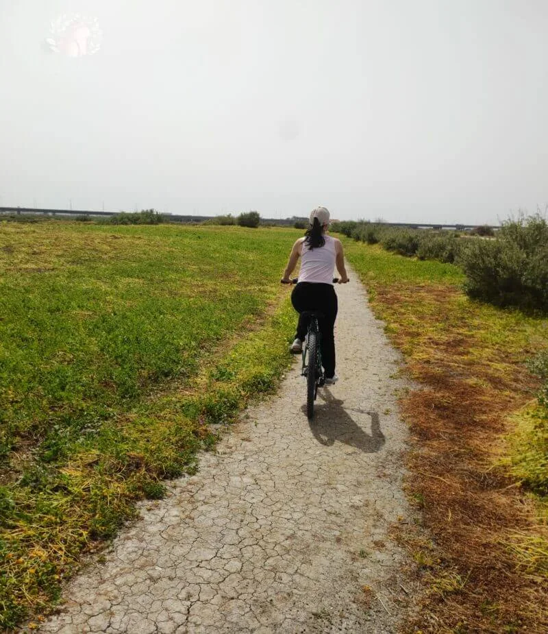 Grupo de visitantes fazendo piquenique em área de descanso nas Salinas do Samouco, aproveitando o ambiente natural.