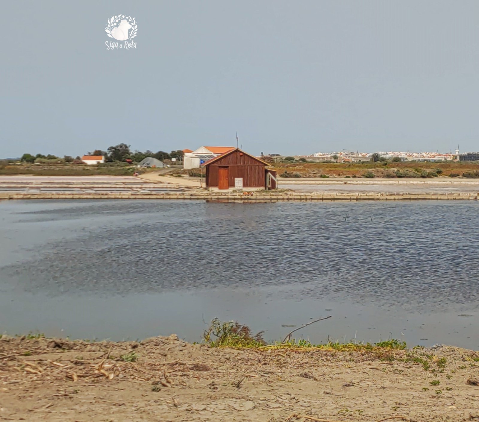 Flamingos no habitat natural nas Salinas do Samouco, com lagoas refletindo as aves em um cenário tranquilo.