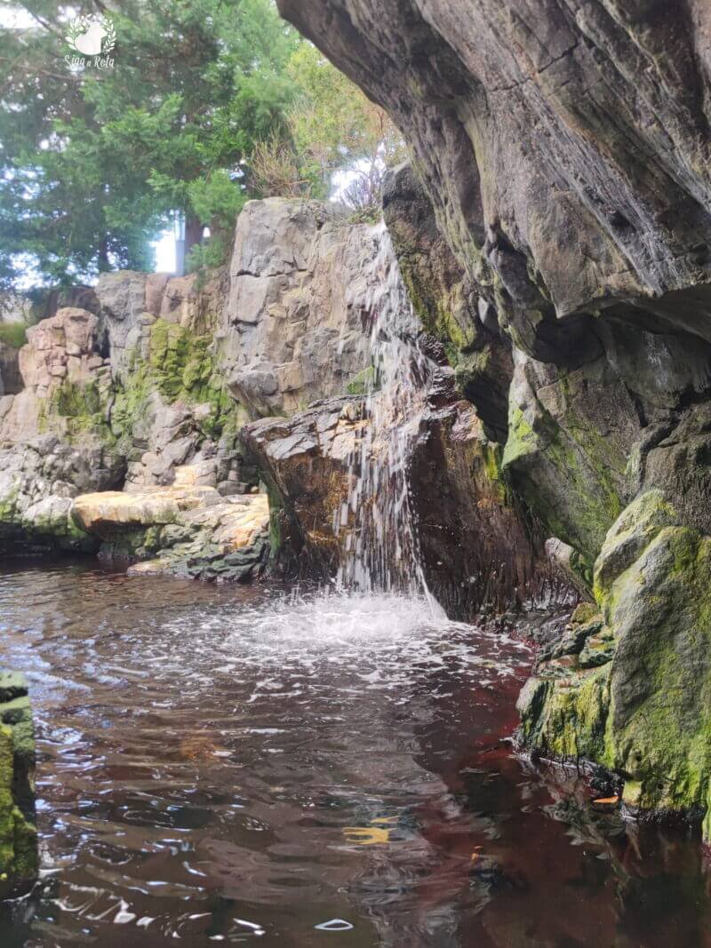 Cascata deslumbrante no Oceanário de Lisboa, criando um ambiente marinho relaxante.