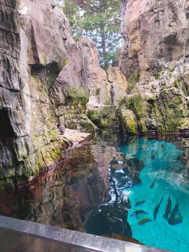 Vista externa do Oceanário de Lisboa, um dos maiores aquários do mundo.