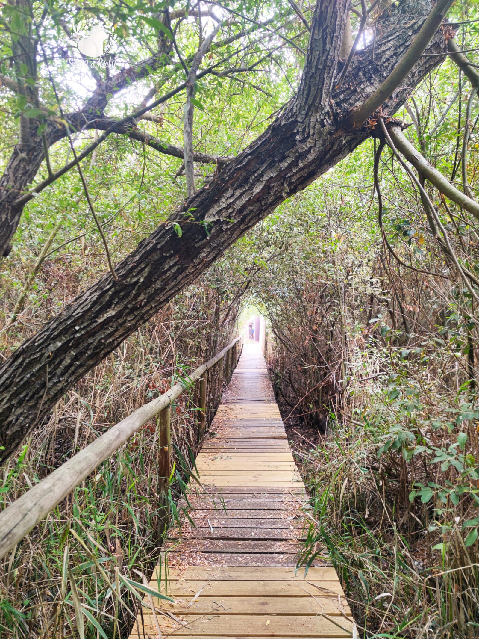 rilha bem marcada na Lagoa Pequena, ideal para caminhadas e observação