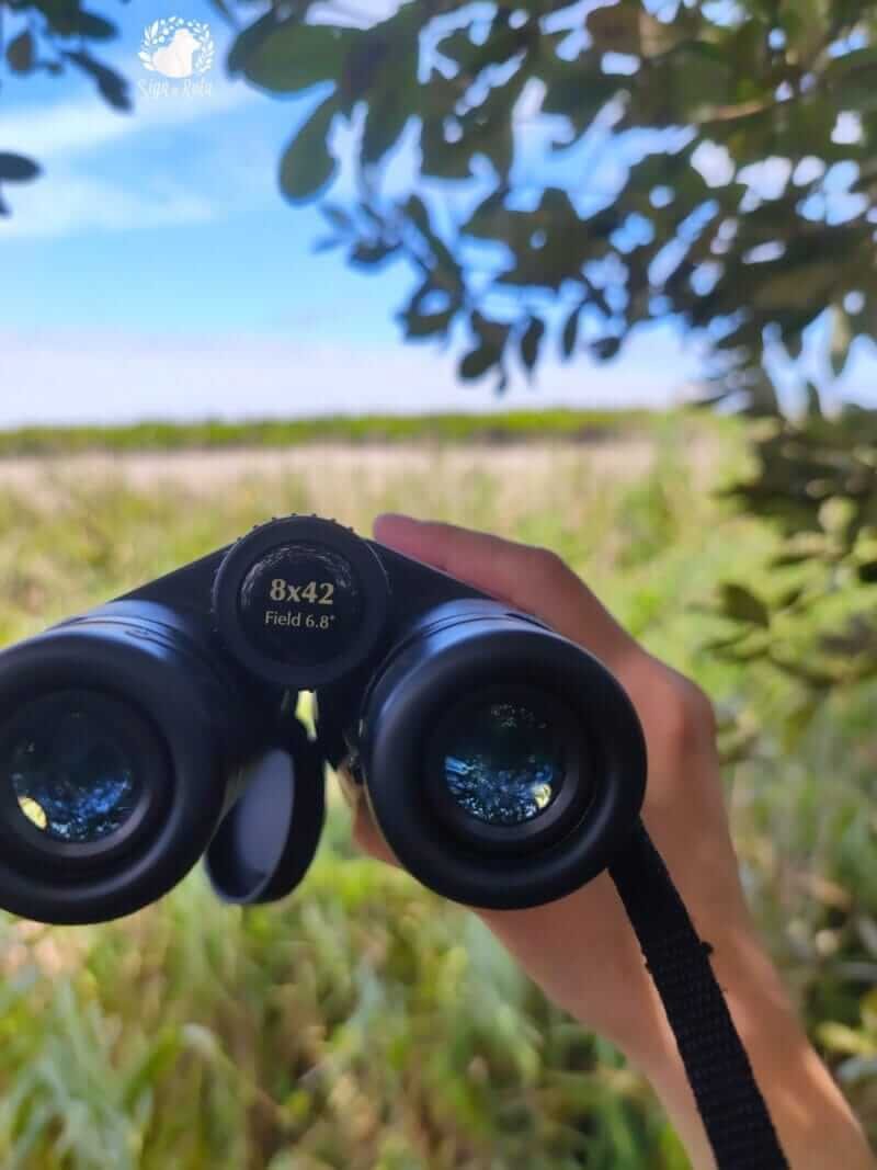 Visitante com binóculos no Observatório de Aves da Lagoa Pequena