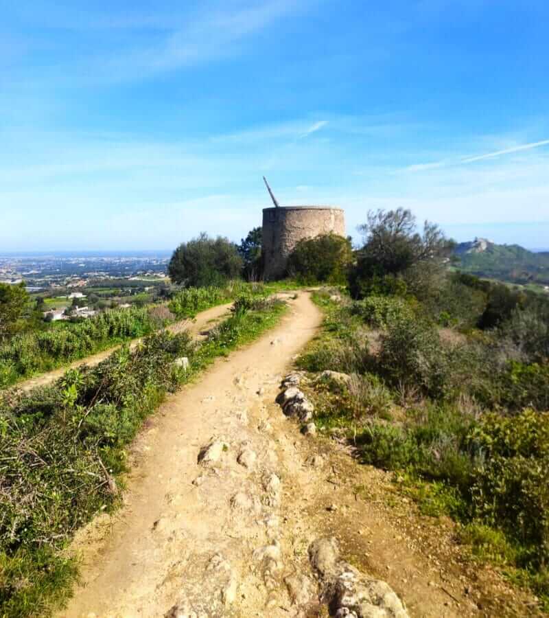 Moinho de vento isolado, com vista para a vasta paisagem natural da Serra do Louro, parte do percurso do Trilho dos Moinhos em Palmela.