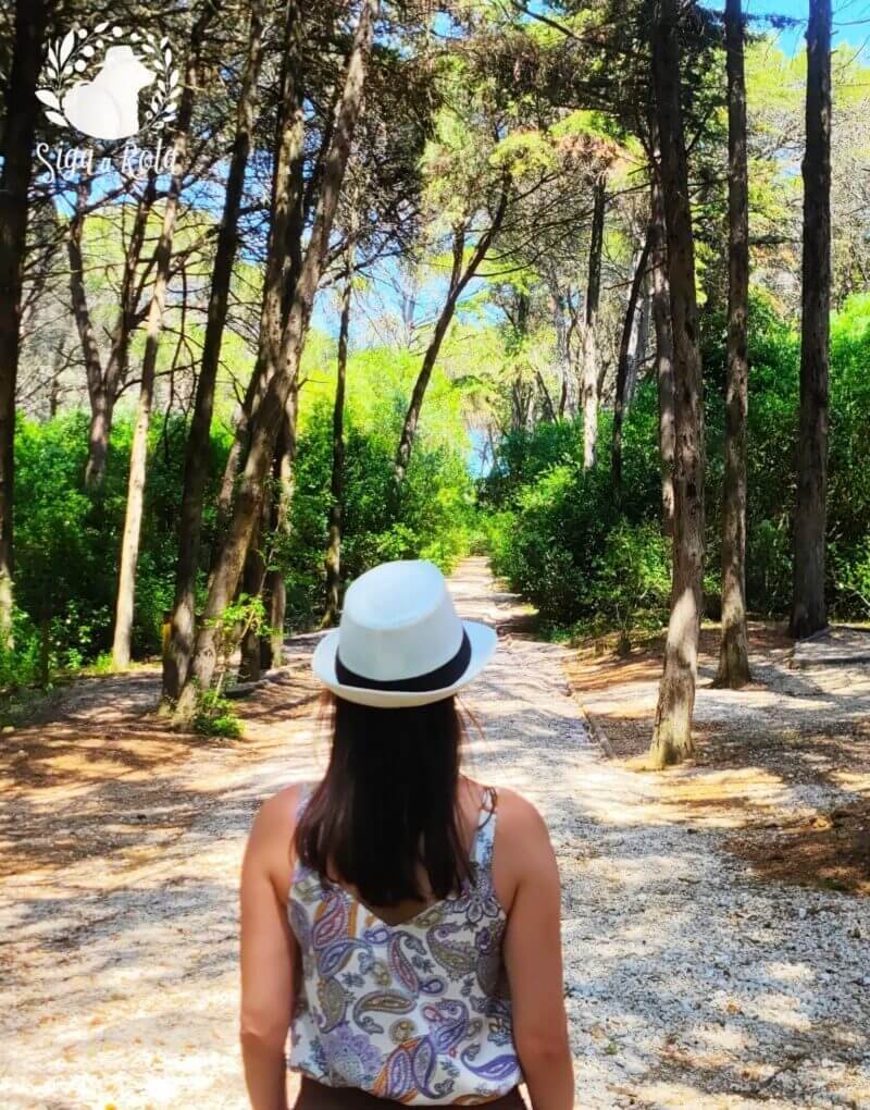 Parque Florestal de Monsanto em Lisboa, pulmão verde de Lisboa
