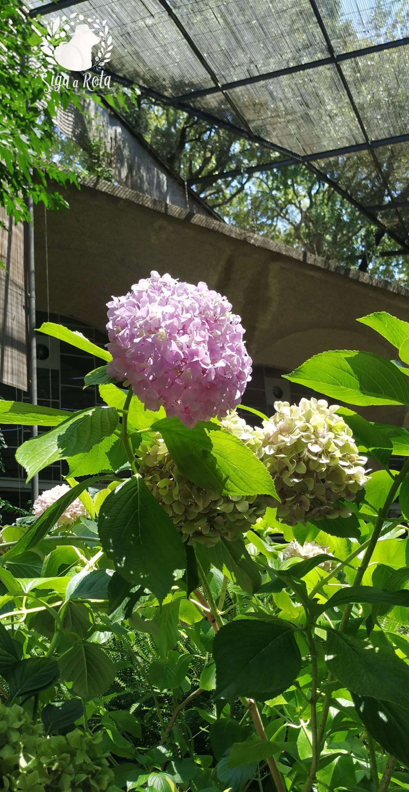 Entrada da Estufa Quente com plantas tropicais e ambiente acolhedor em Lisboa.