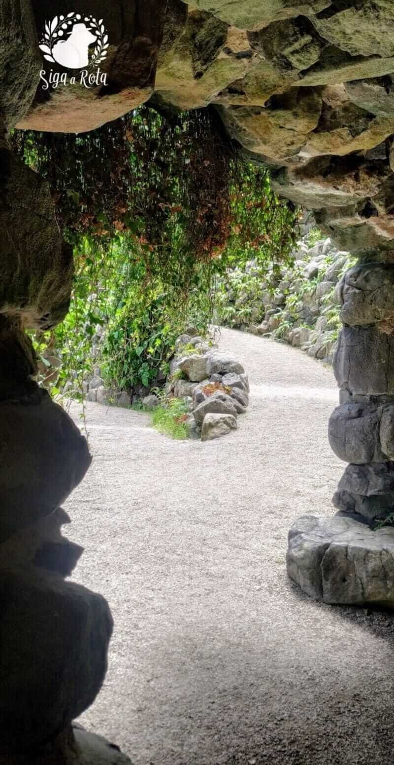 Caminho entre plantas raras e exóticas na Estufa Fria, Parque Eduardo VII.