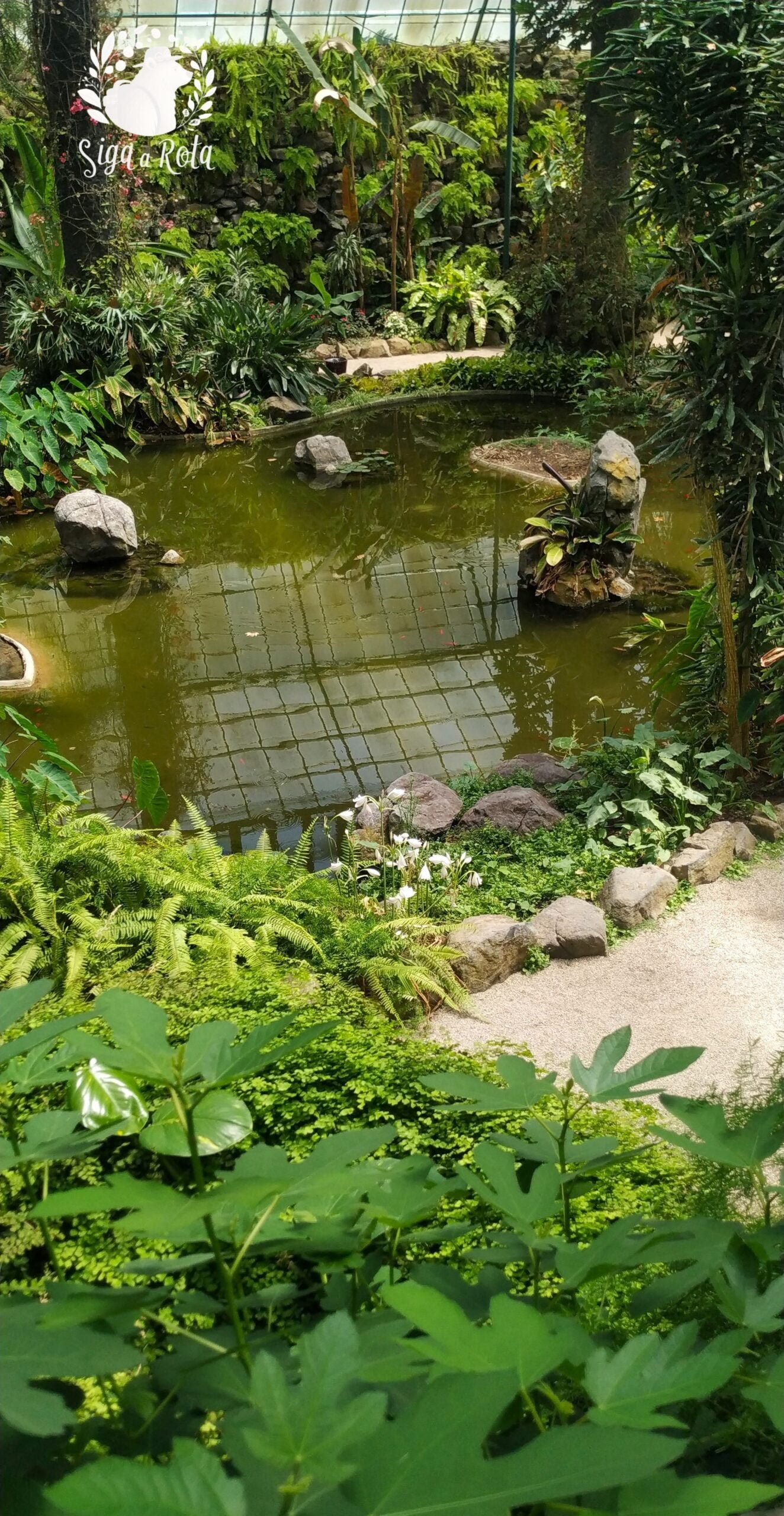 Cactos e suculentas na Estufa Doce de Lisboa.