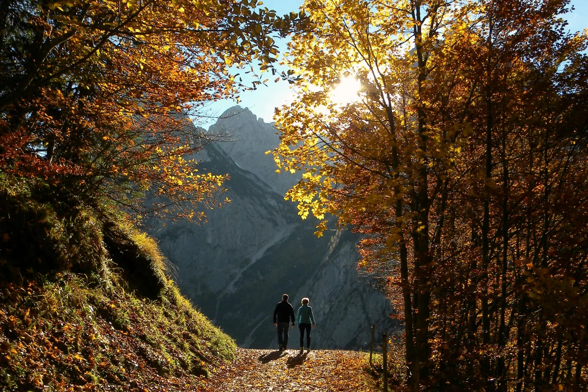 Caminho ao longo da Levada do Caldeirão Verde na Madeira, com vistas para a natureza