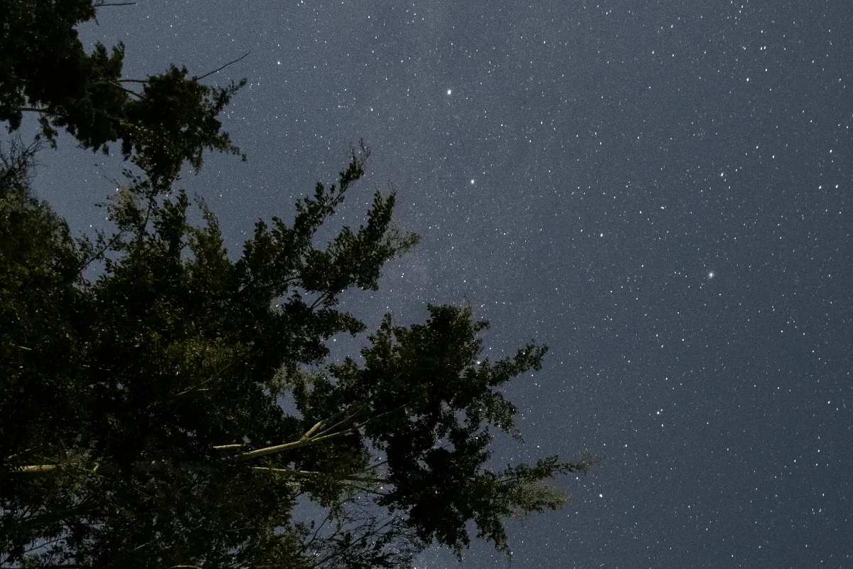 Céu estrelado sobre a Reserva Dark Sky Alqueva, em Portugal