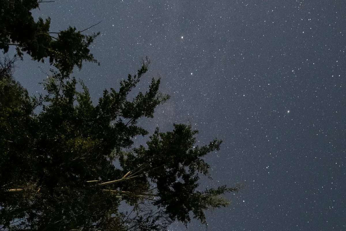 Céu estrelado sobre a Reserva Dark Sky Alqueva, em Portugal