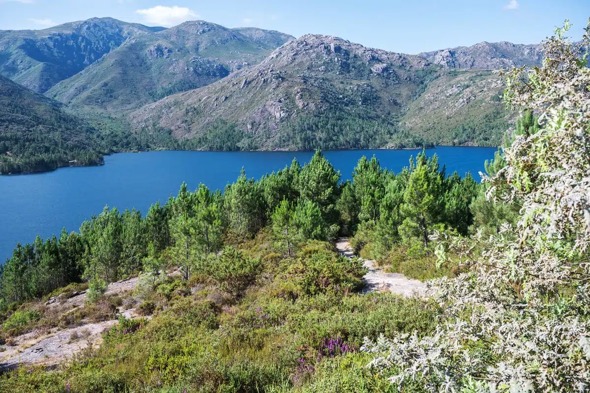Tendas montadas no Parque Natural da Peneda-Gerês, um destino ideal para os amantes de natureza e acampamento.