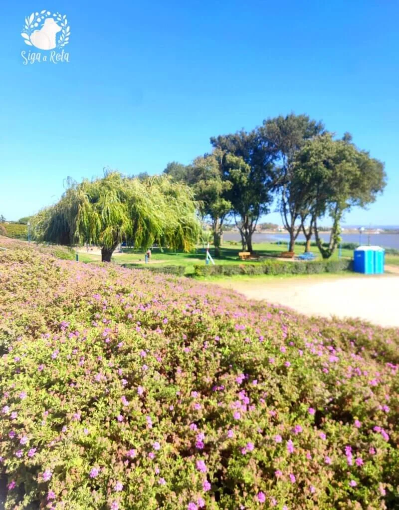 Caminhos arborizados no Parque das Canoas, com bancos e sombra para descanso.