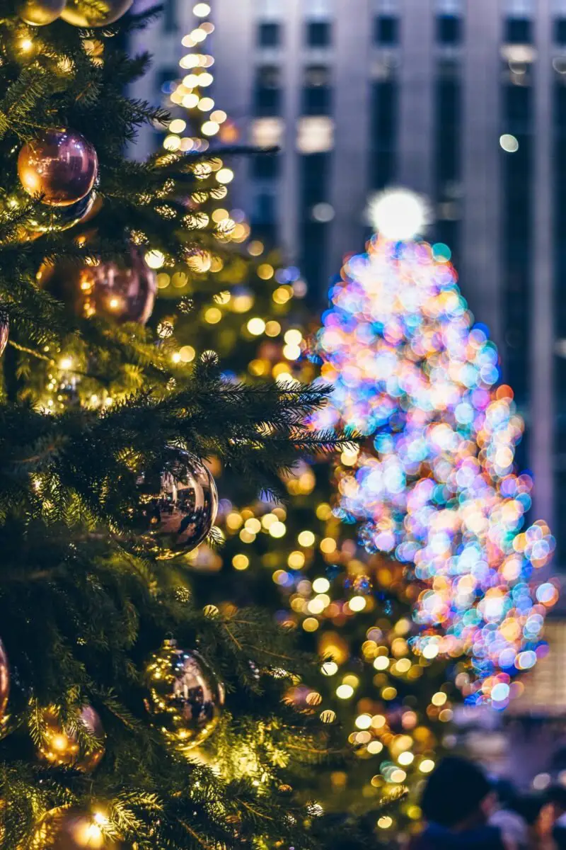 Centro histórico de Viana do Castelo iluminado para o Natal, com luzes festivas e decoração encantadora.