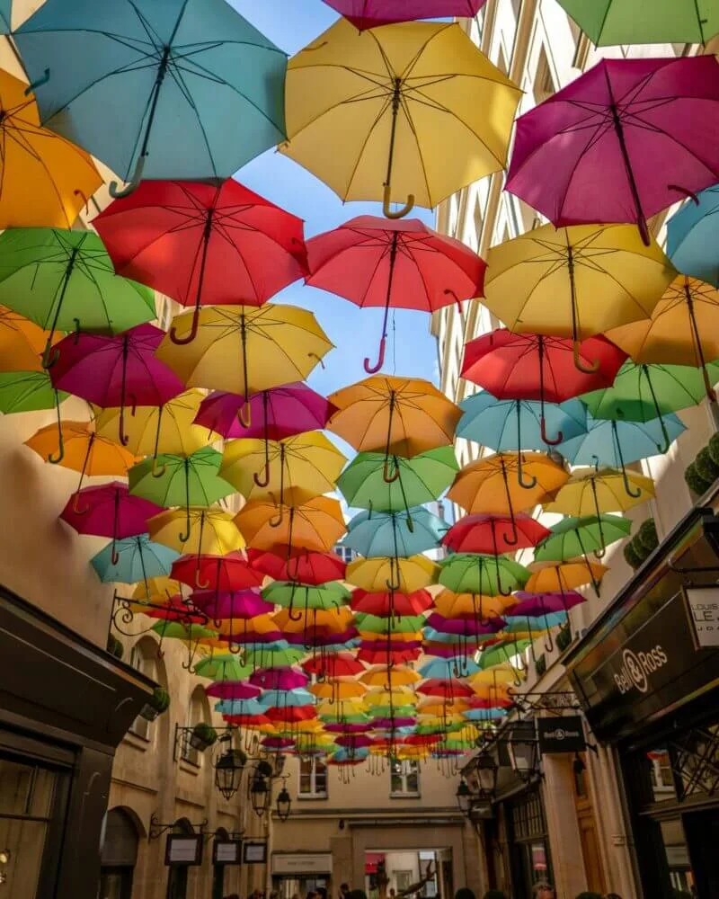 Decoração de Natal em Águeda com árvores criativas e guarda-chuvas iluminados, criando uma atmosfera única.