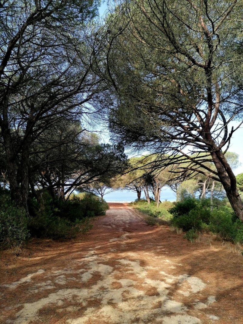 Trilha na Serra da Arrábida com vista para o mar próximo à Praia de Outão.