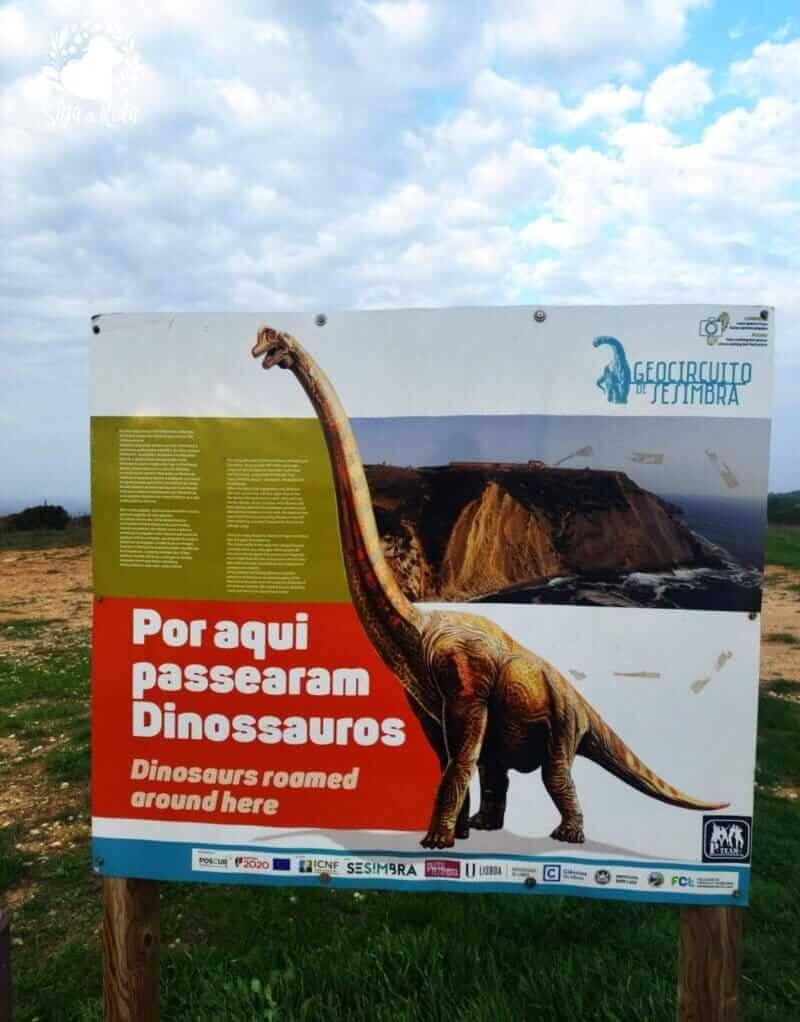 Detalhe das antigas pegadas de dinossauros preservadas na Pedra da Mua.