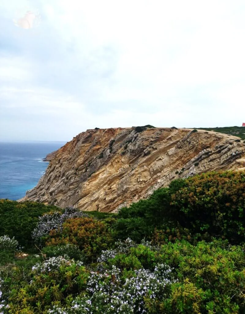 Caminho natural ao longo das trilhas do Cabo Espichel, cercado por vegetação local.
