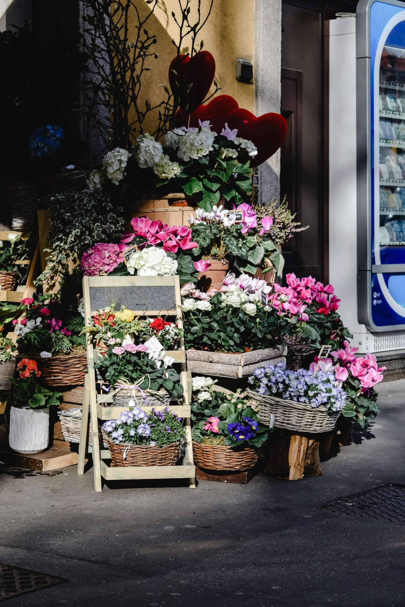 Florista em Milão exibindo uma variedade de flores coloridas e frescas em sua loja, um charme local para quem busca presentes ou decoração.