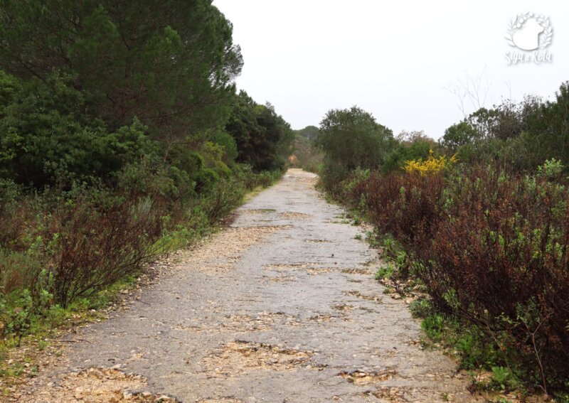 Trecho da antiga estrada romana entre Palmela e Setúbal na trilha São Luís
