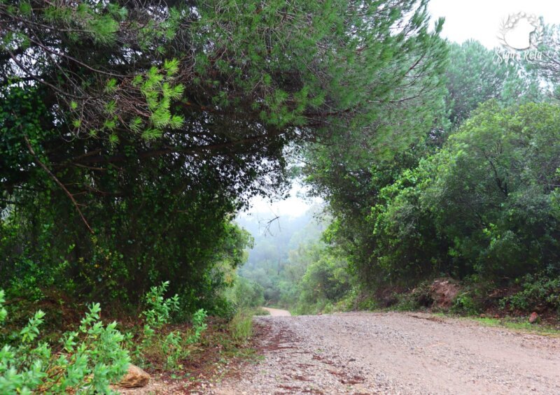 Vista panorâmica da serra da Arrábida a partir do Posto de Vigia São Luís