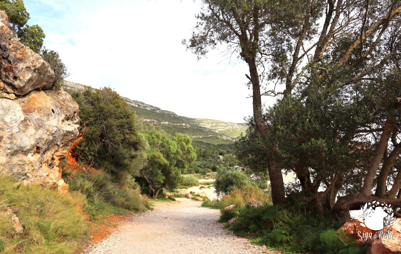 Percurso da Trilha do Portinho da Arrábida com Vista Panorâmica Caminho da Trilha do Portinho da Arrábida mostrando o percurso entre a Praia do Creiro e Alpertuche com vista para o mar