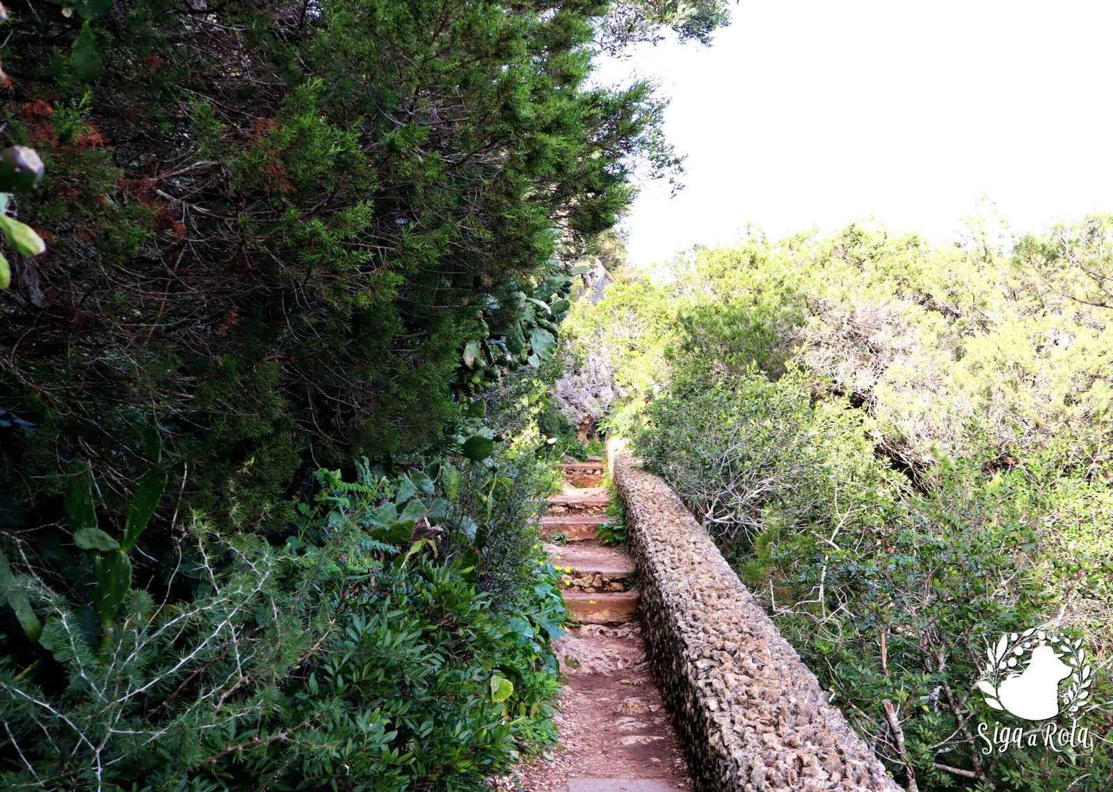 Escadaria para a Lapa de Santa Margarida no Portinho da Arrábida Escadas que levam à gruta Lapa de Santa Margarida no Portinho da Arrábida, percurso com vista para o mar